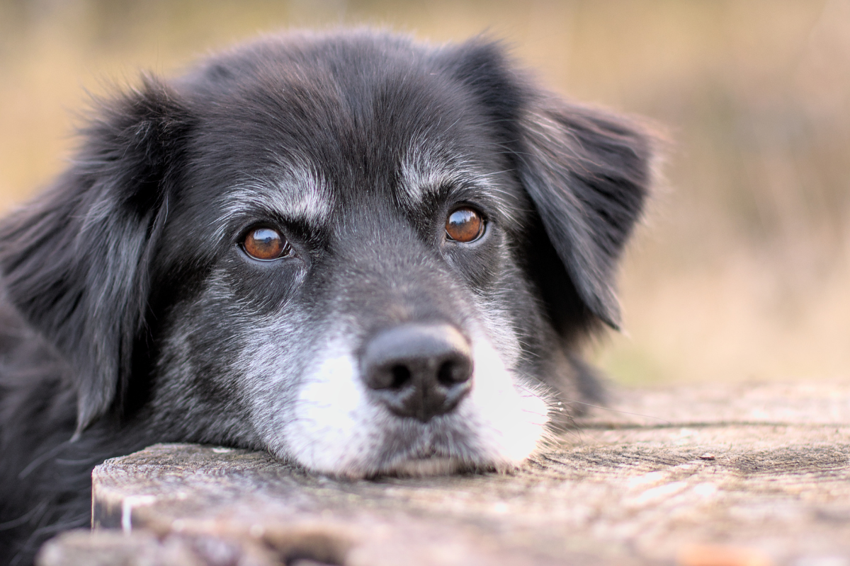 Wärme ist Lebensqualität – besonders im Alter