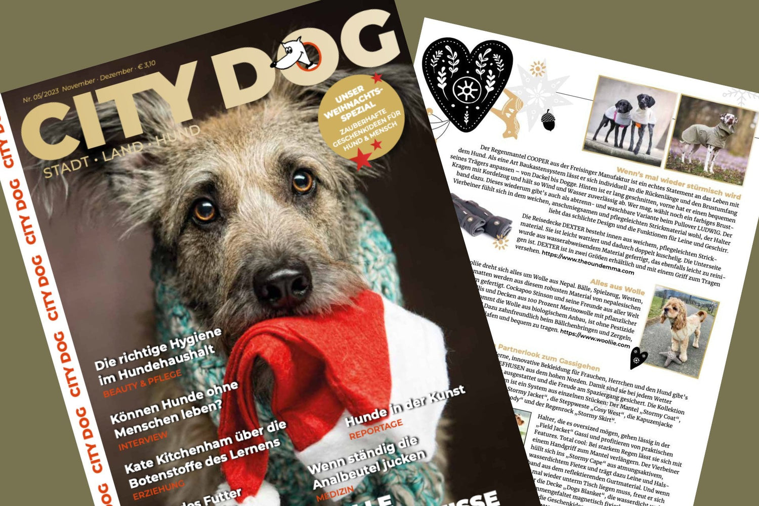CITY DOG Magazin