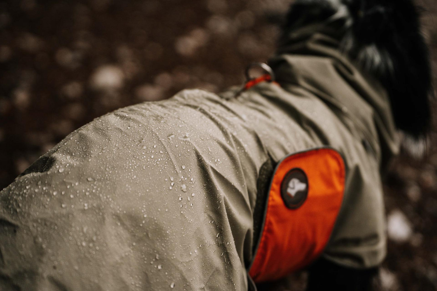 Spezial-Wasch- und Imprägnierungskonzentrat