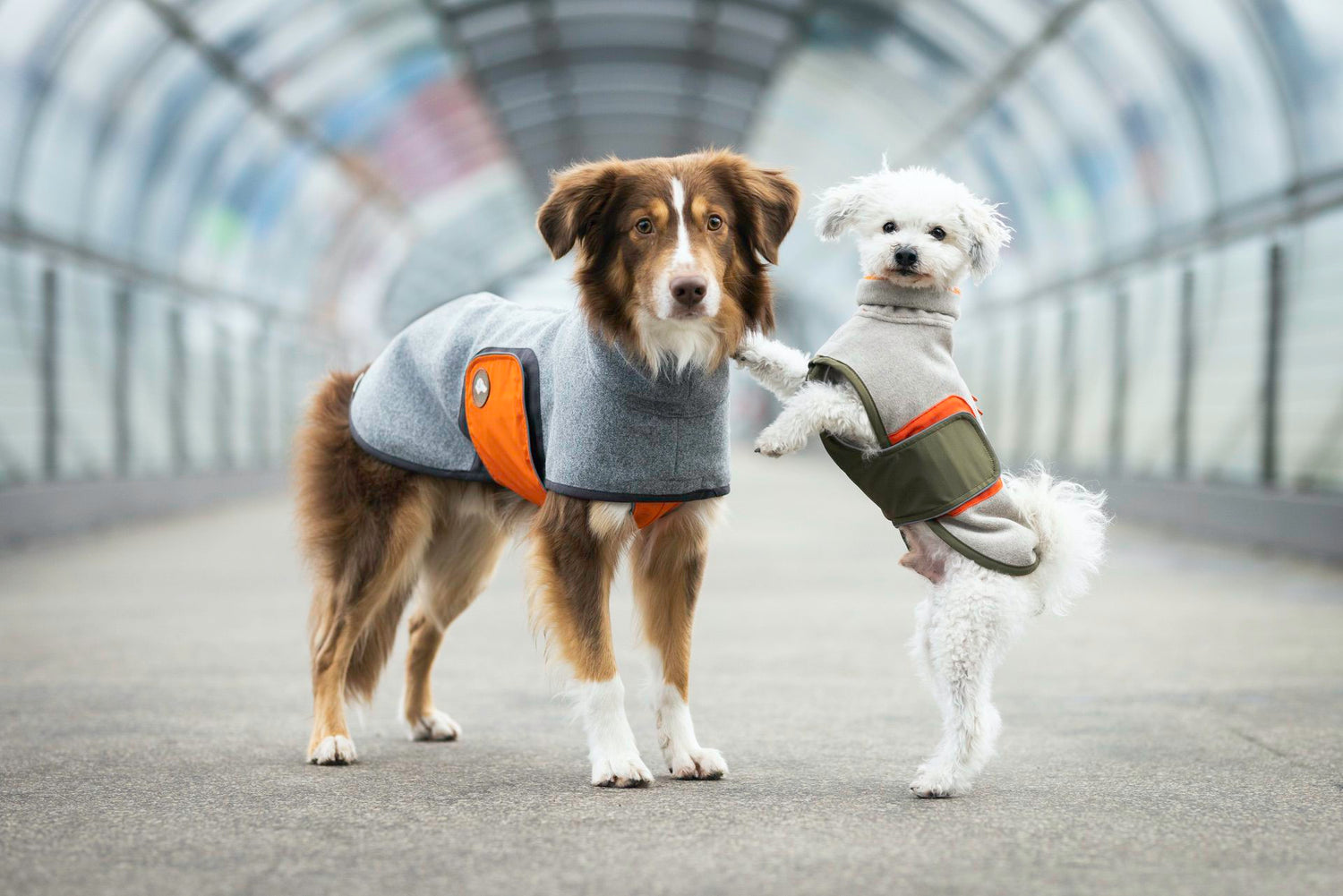 Mix & Match - exklusiv von Theo & Emma®