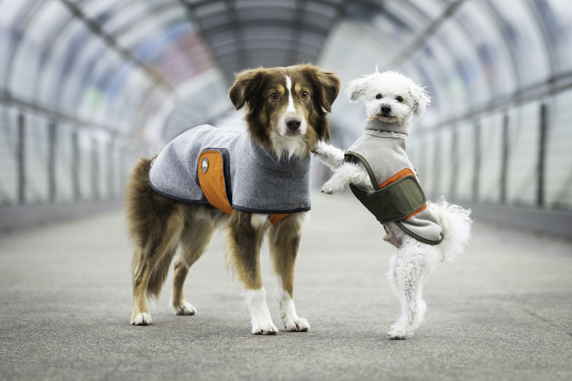 Mix & Match - exklusiv von Theo & Emma®