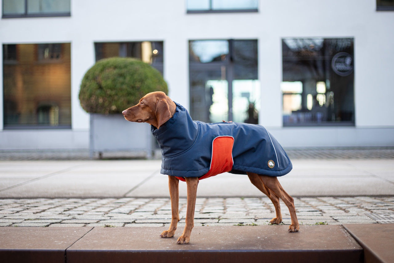 Hundejacke, oder Hundemantel?