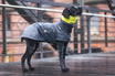 Regenmantel Hund