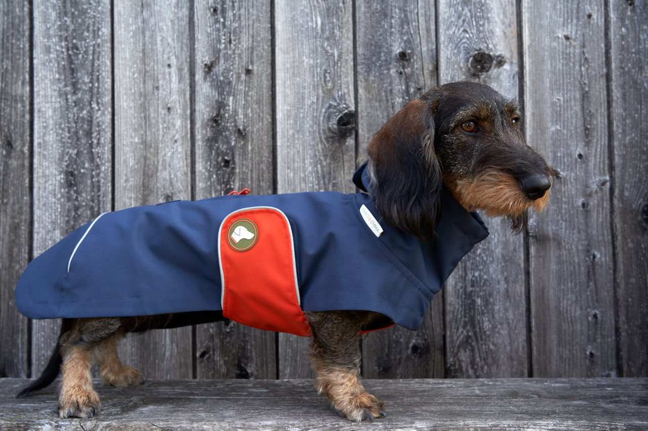 Dachshund raincoat Cooper in Midnight Navy