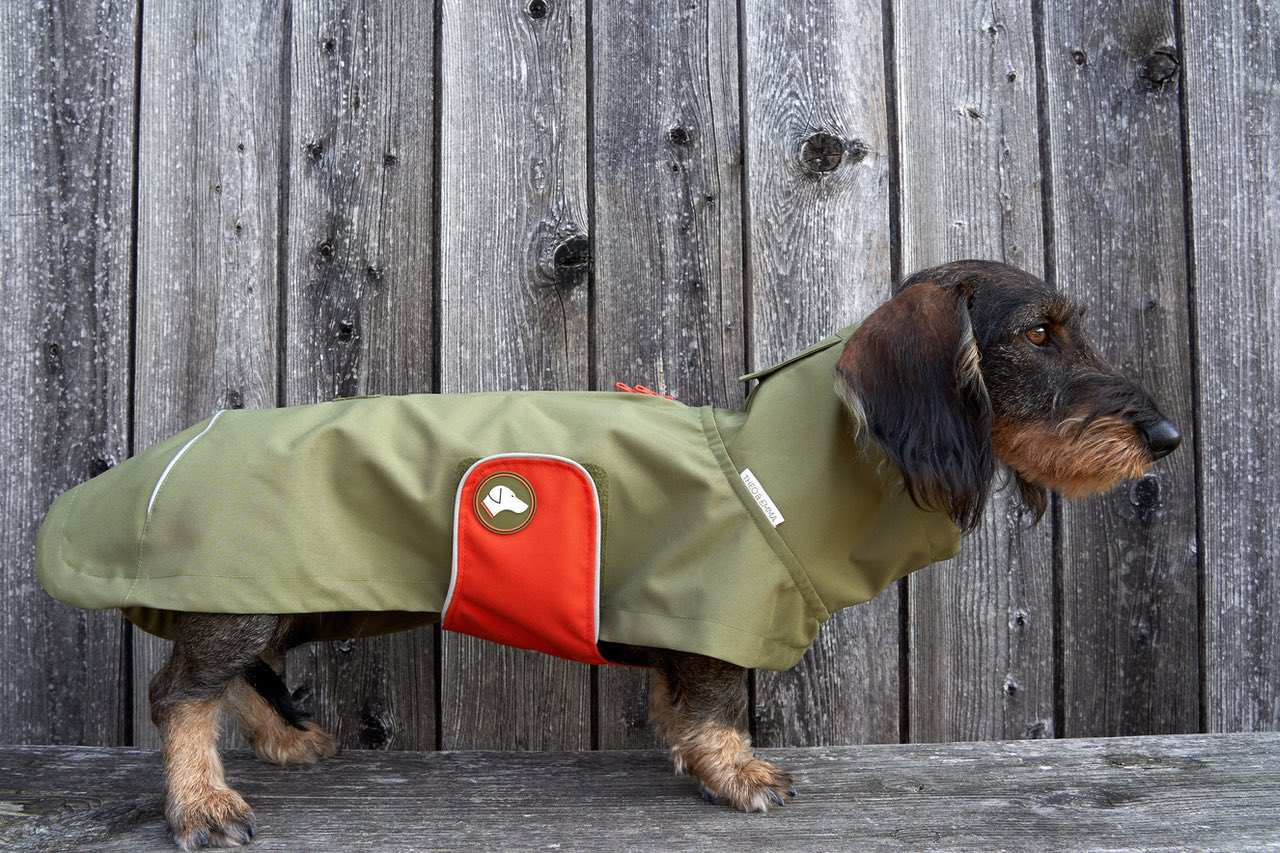 Dackelregenmantel oliv pumpkin orange