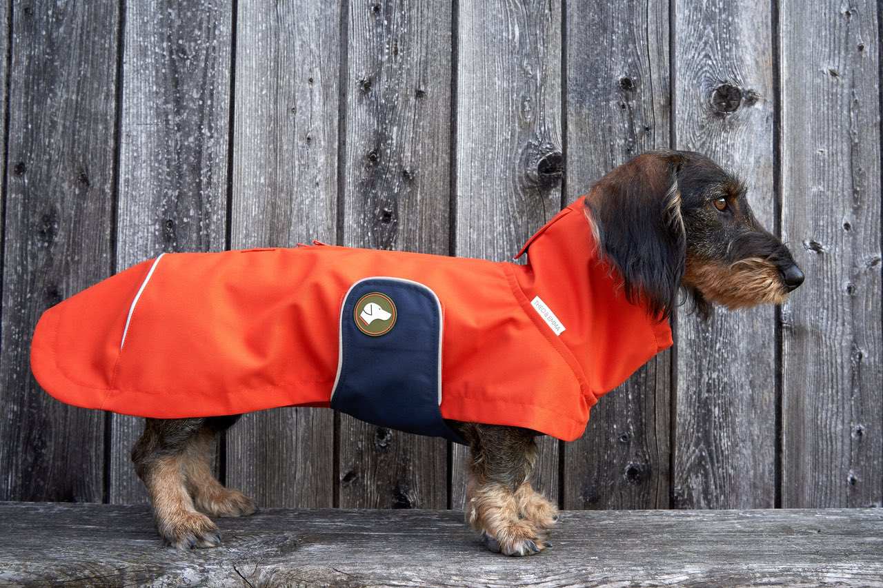Dackel-Regenmantel Cooper in Pumpkin Orange