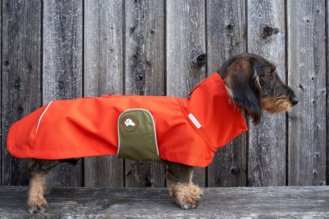 Dackelregenmantel orange olive branch