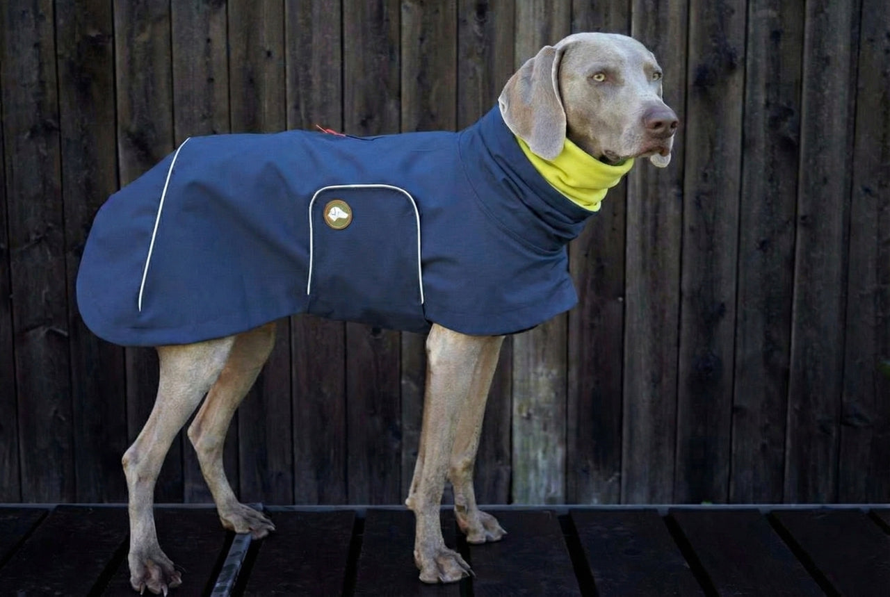 Regenmantel Cooper in Midnight Navy mit Gratis-Loop im Bundle