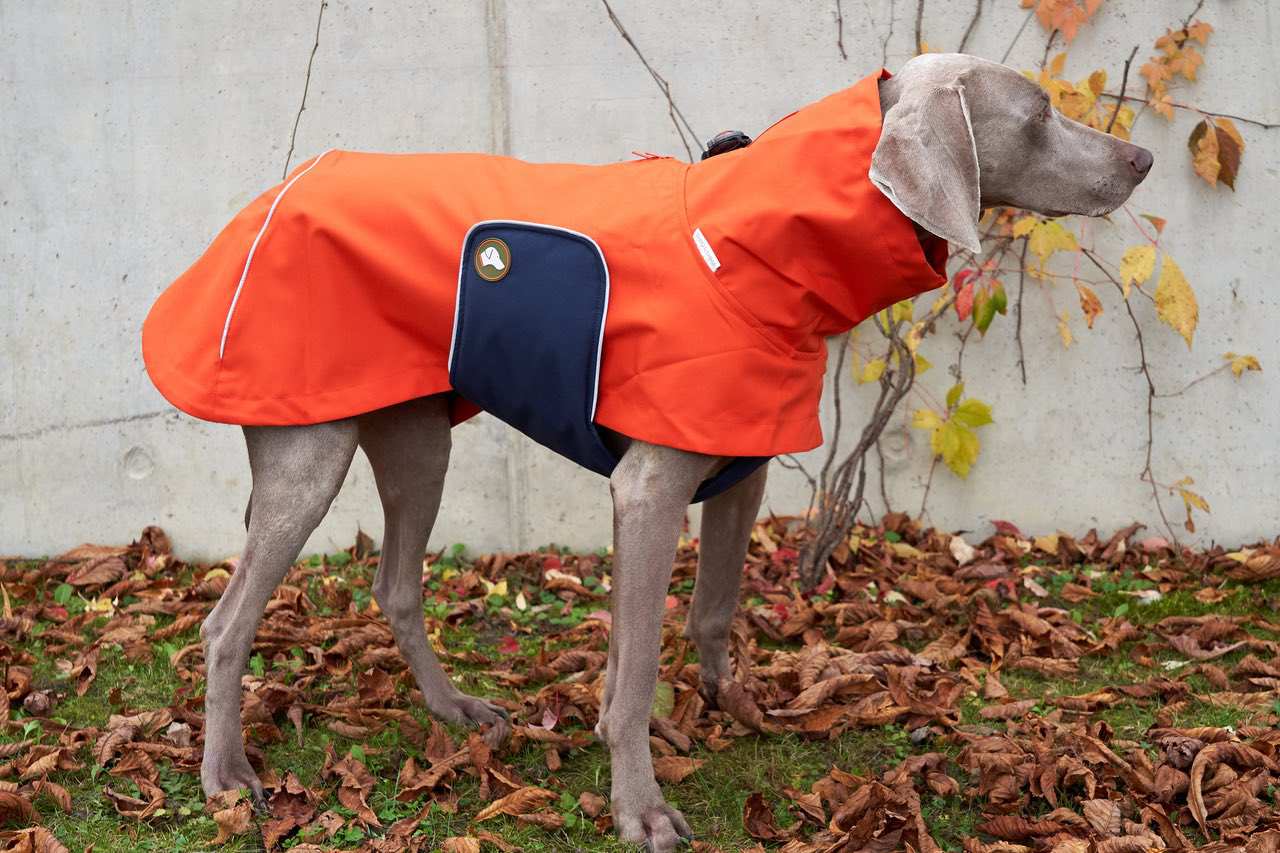 Hunderegenmantel orange midnight navy