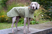 NEU: Hunde-Regenmantel Cooper in Oliv