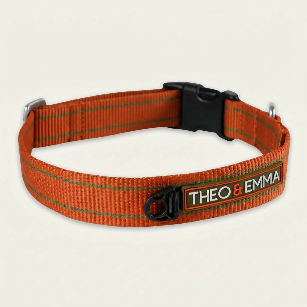 Halsband ENZO – Leicht, sicher und stylisch unterwegs