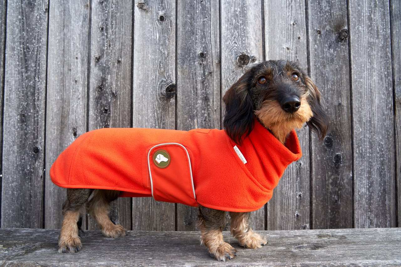 Dackelpullover pumpkin orange