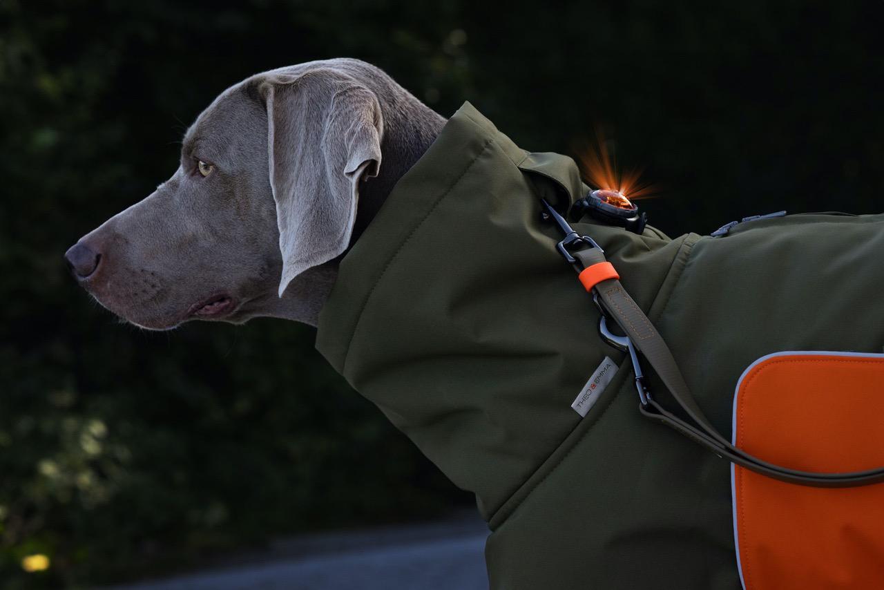Hundewintermantel