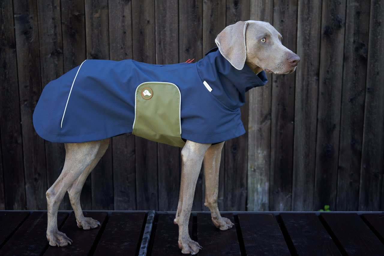 Hunde-Regenmantel Cooper in Navy Blau