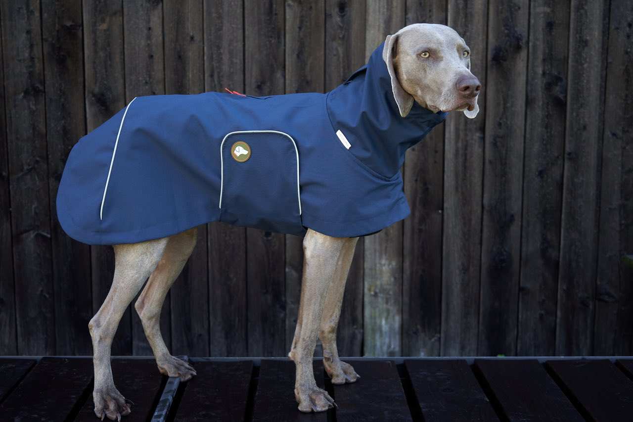 Hunderegenmantel Navy Blau, wasserdicht + viele Extras