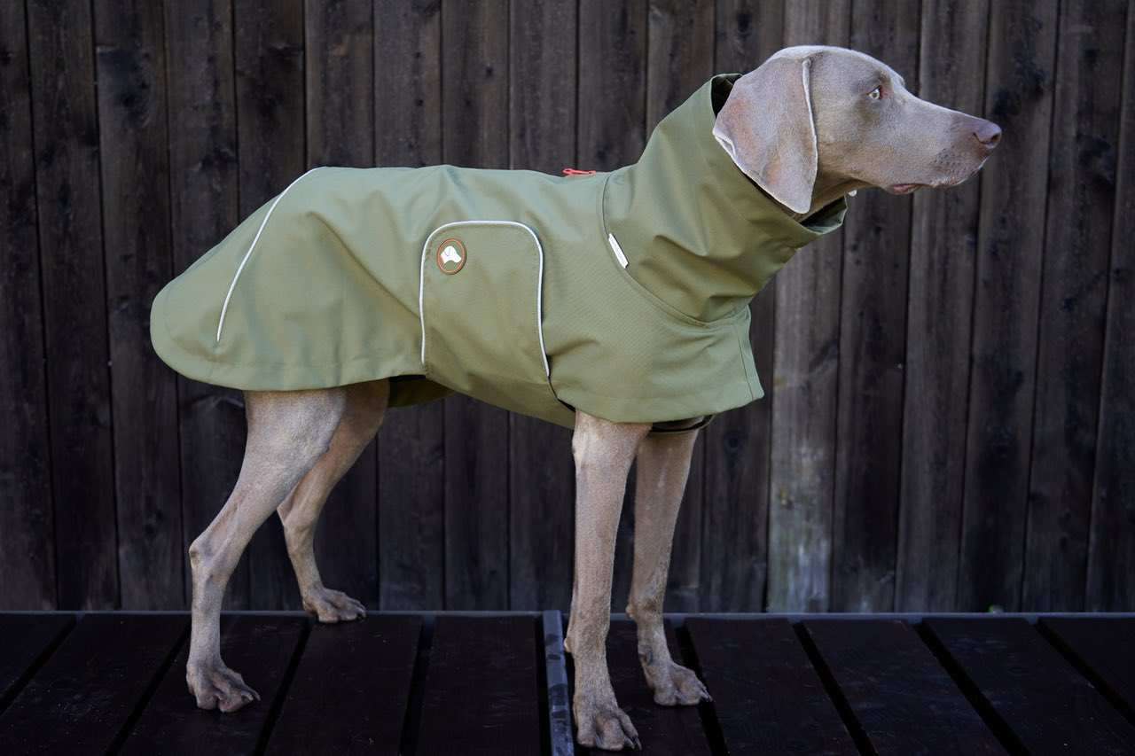Hunde-Regenmantel Cooper in Oliv Branch