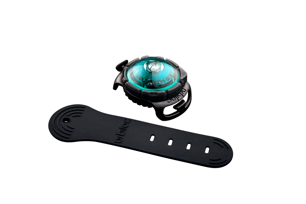 Orbiloc Dog Dual türkis
