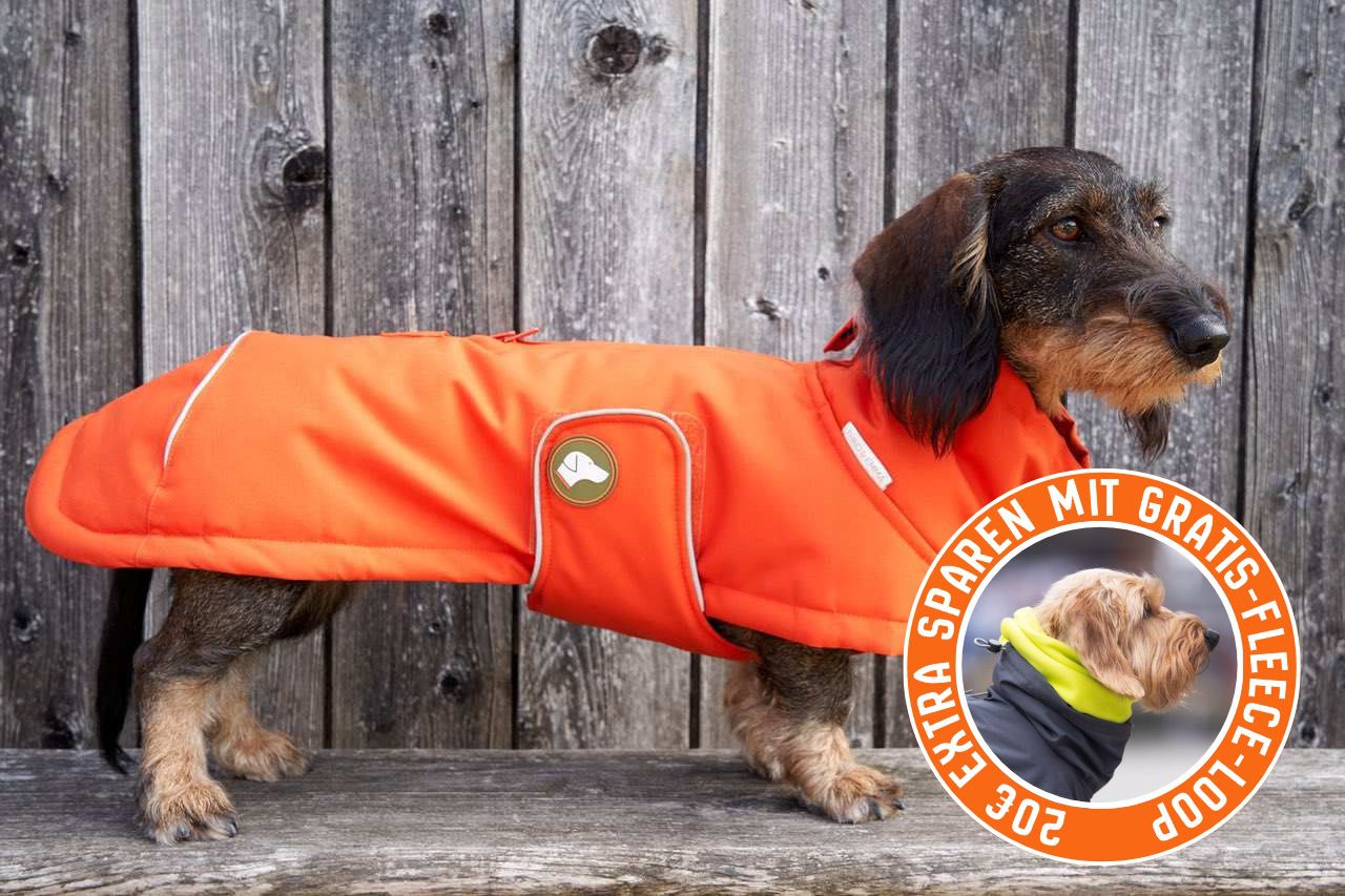 Dackel-Wintermantel Oskar in Pumpkin Orange