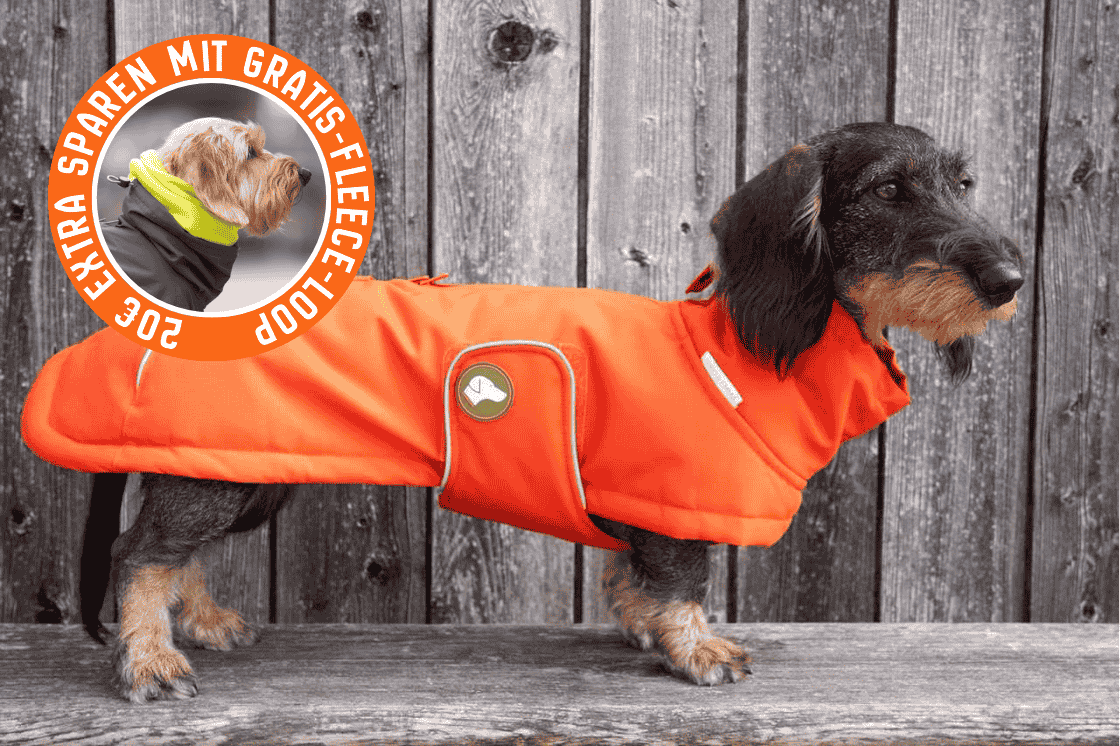 Dackel-Wintermantel Oskar in Pumpkin Orange