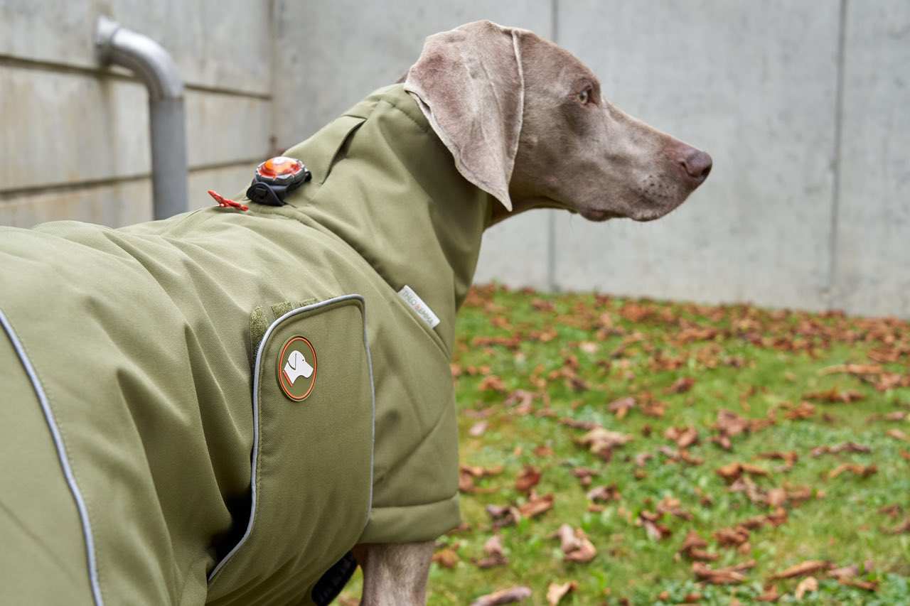 Hundewintermantel Oliv