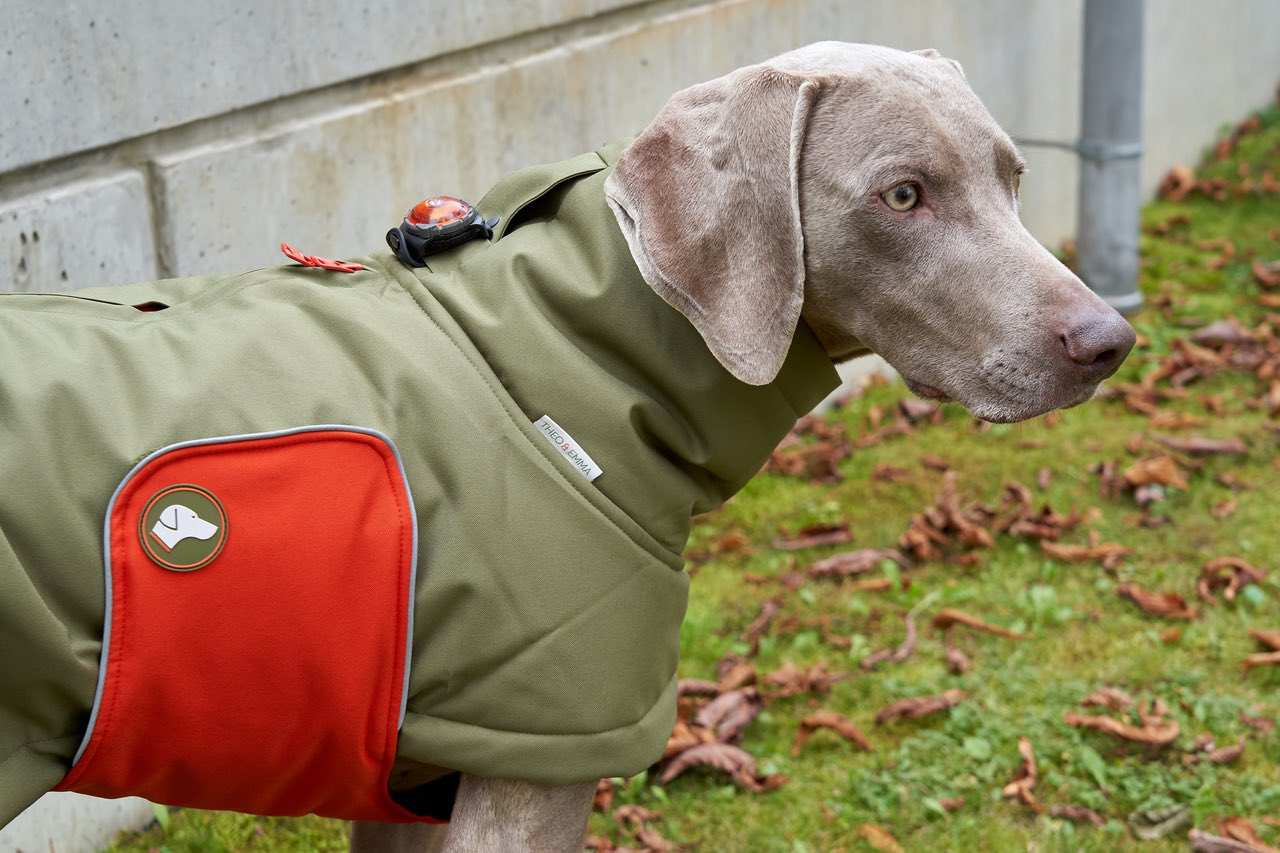 Hundewintermantel Oliv Orange