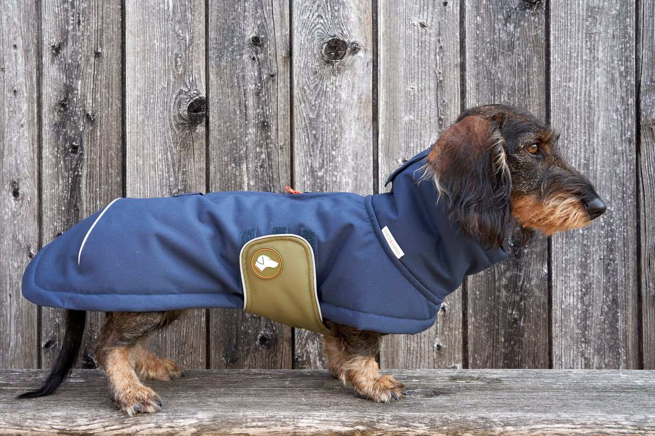 Dackelwintermantel blau olive branch