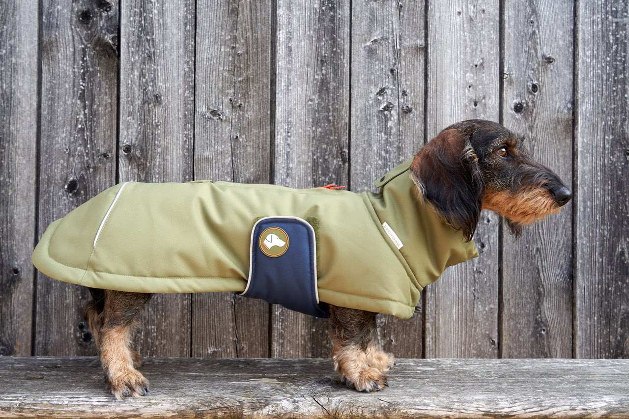 Dackelwintermantel oliv midnight navy