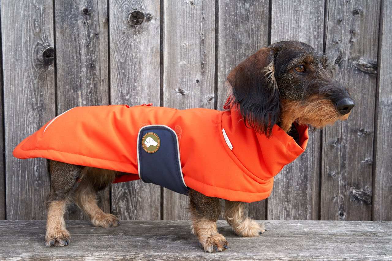Dackel-Wintermantel Oskar in Pumpkin Orange