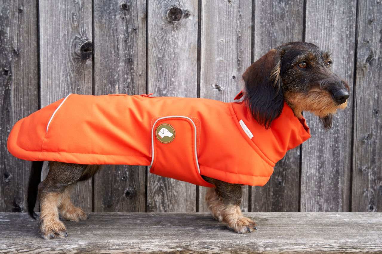 Dackel-Wintermantel Oskar in Pumpkin Orange