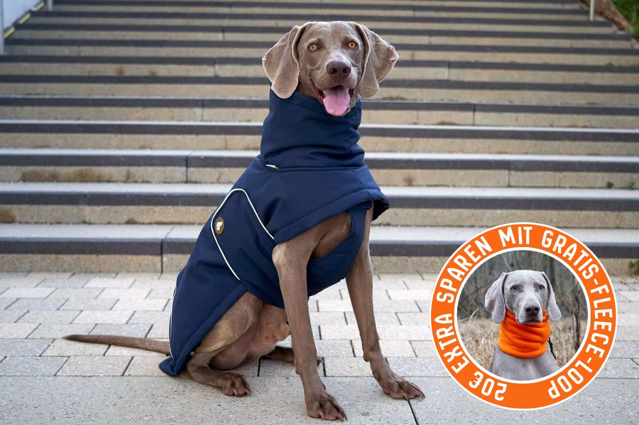 Hunde-Wintermantel Oskar in Midnight Navy