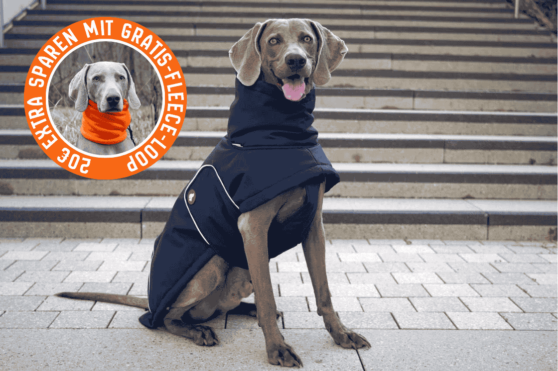 Hunde-Wintermantel Oskar in Midnight Navy