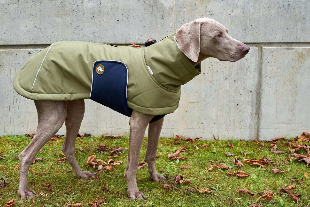 Hundewintermantel oliv midnight navy