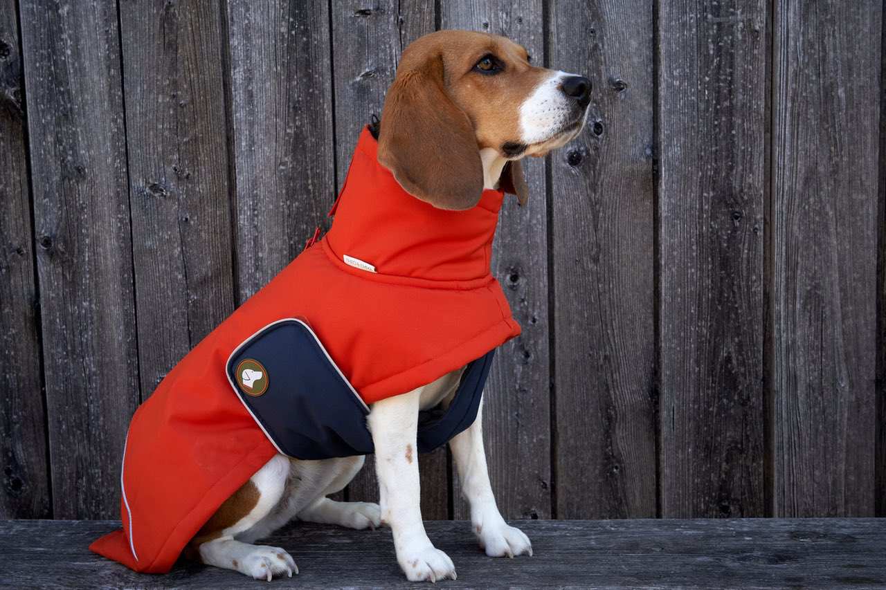 Hundewintermantel orange midnight navy