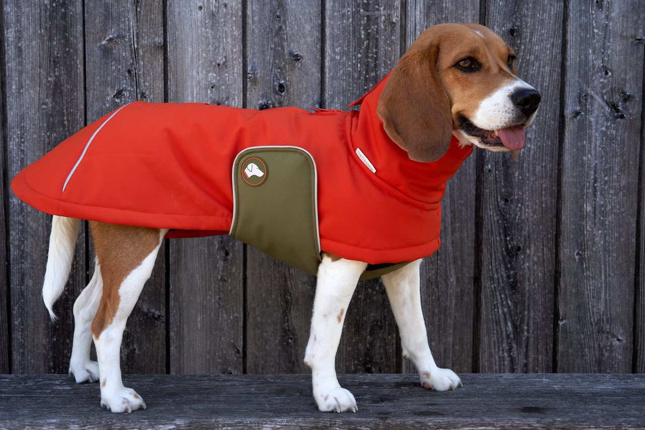 Hundewintermantel orange olive branch