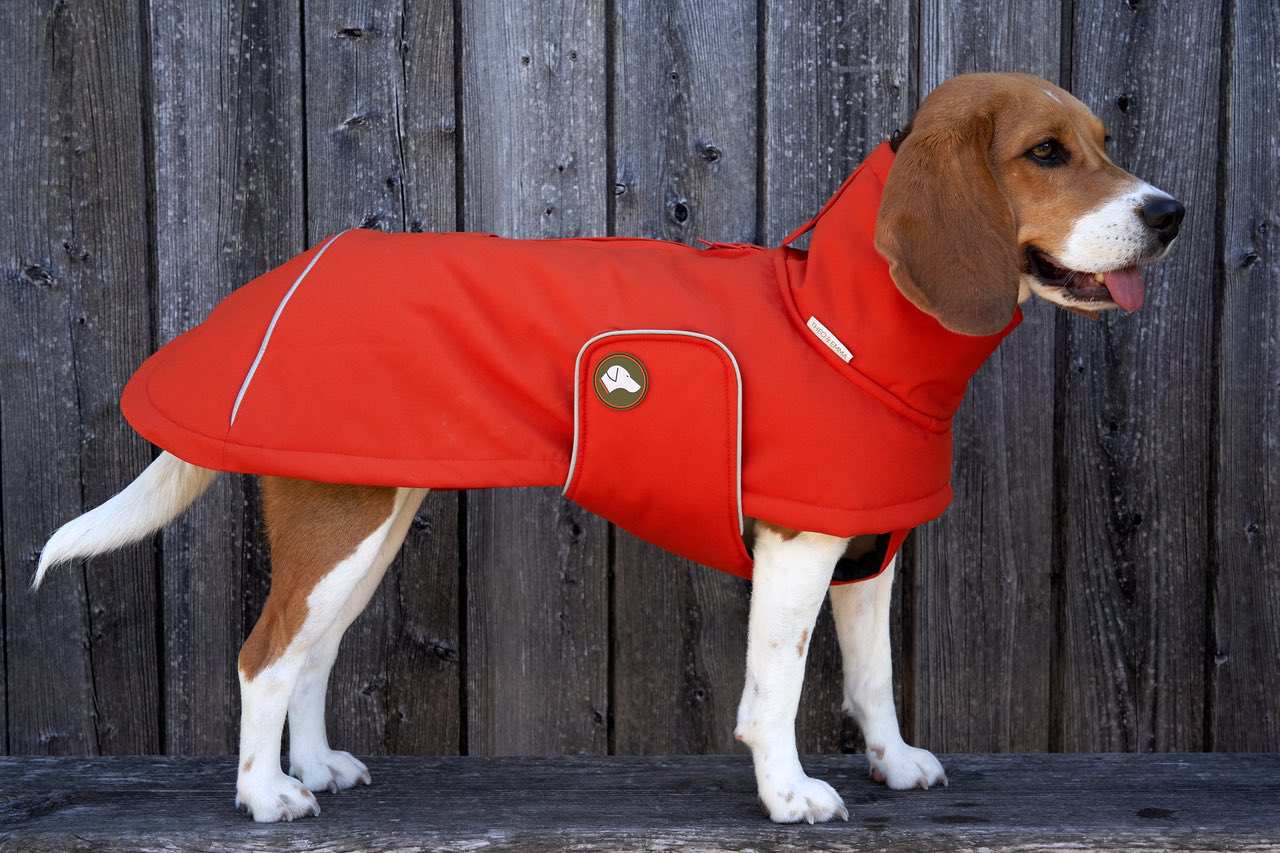 Hunde-Wintermantel Oskar in Pumpkin Orange