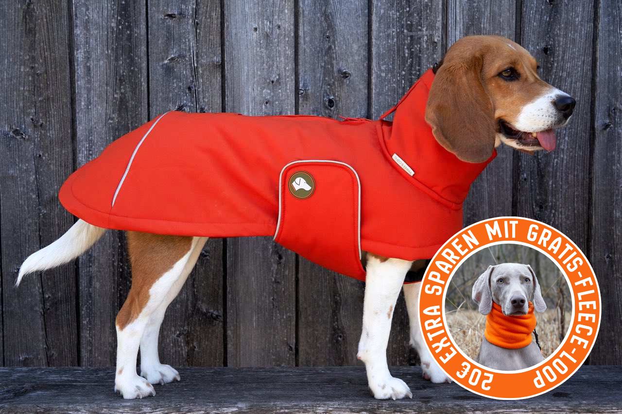 Hunde-Wintermantel Oskar in Pumpkin Orange