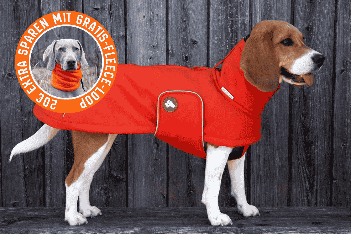 Hunde-Wintermantel Oskar in Pumpkin Orange