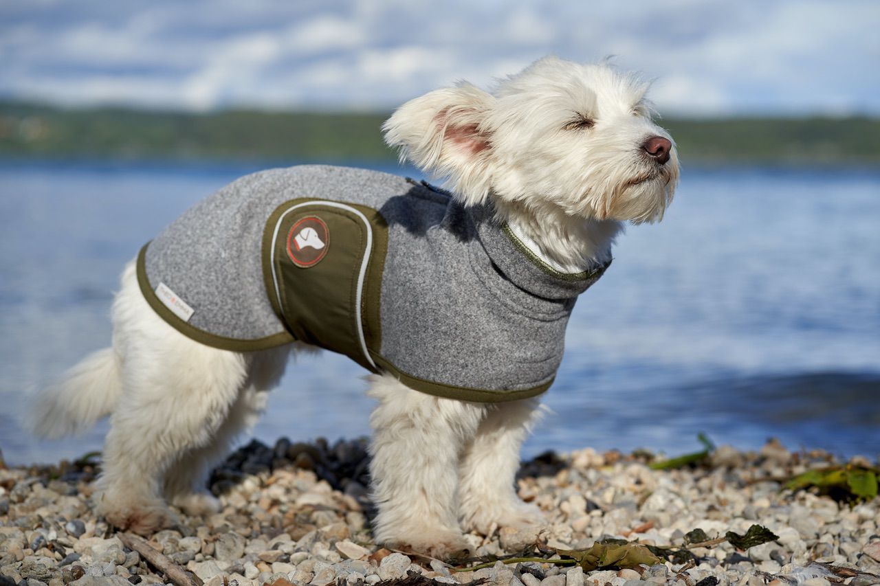 Hundemantel für kleine Hunde