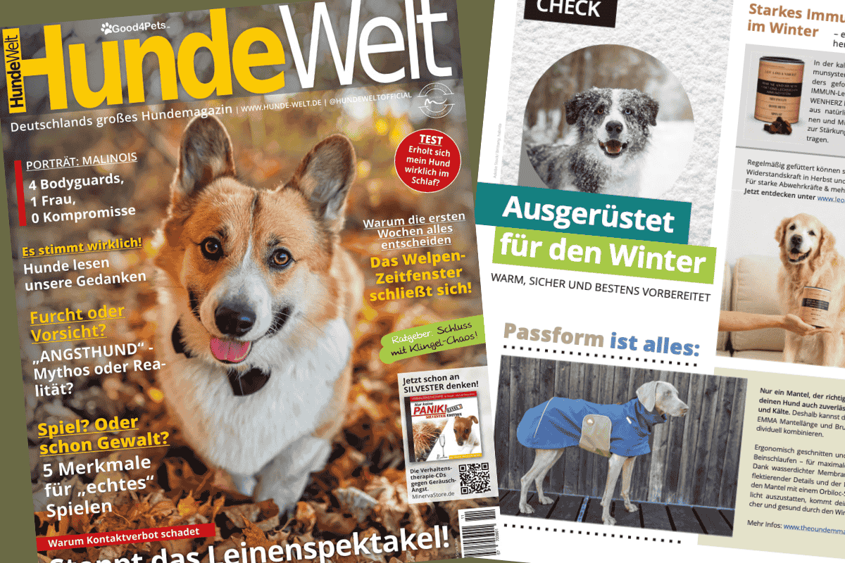 Auf die Passform kommt es an