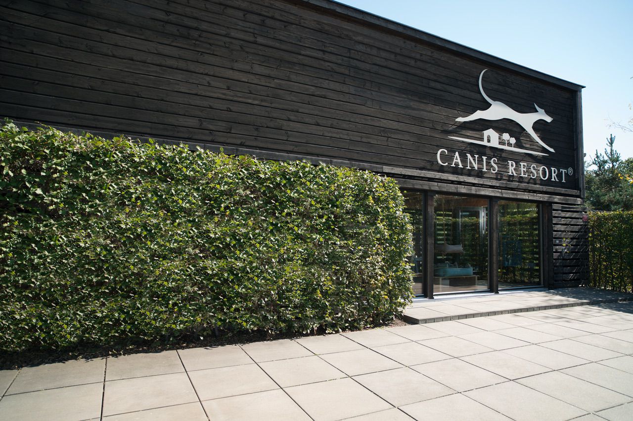 Hundebekleidung im Canis Resort