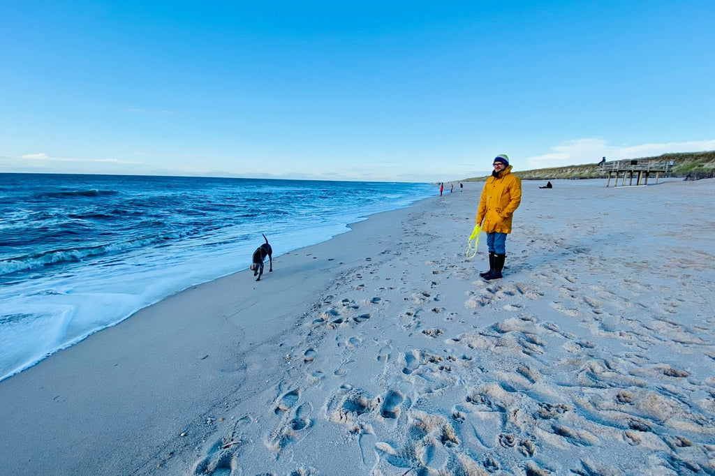 Sylter Strandhund