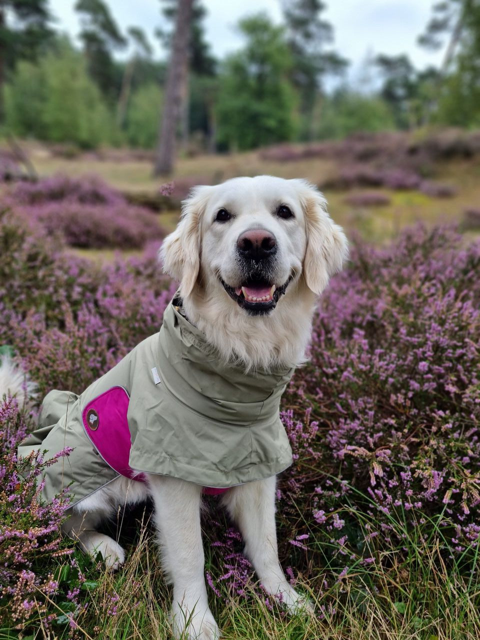 Hundemantel für große Hunde