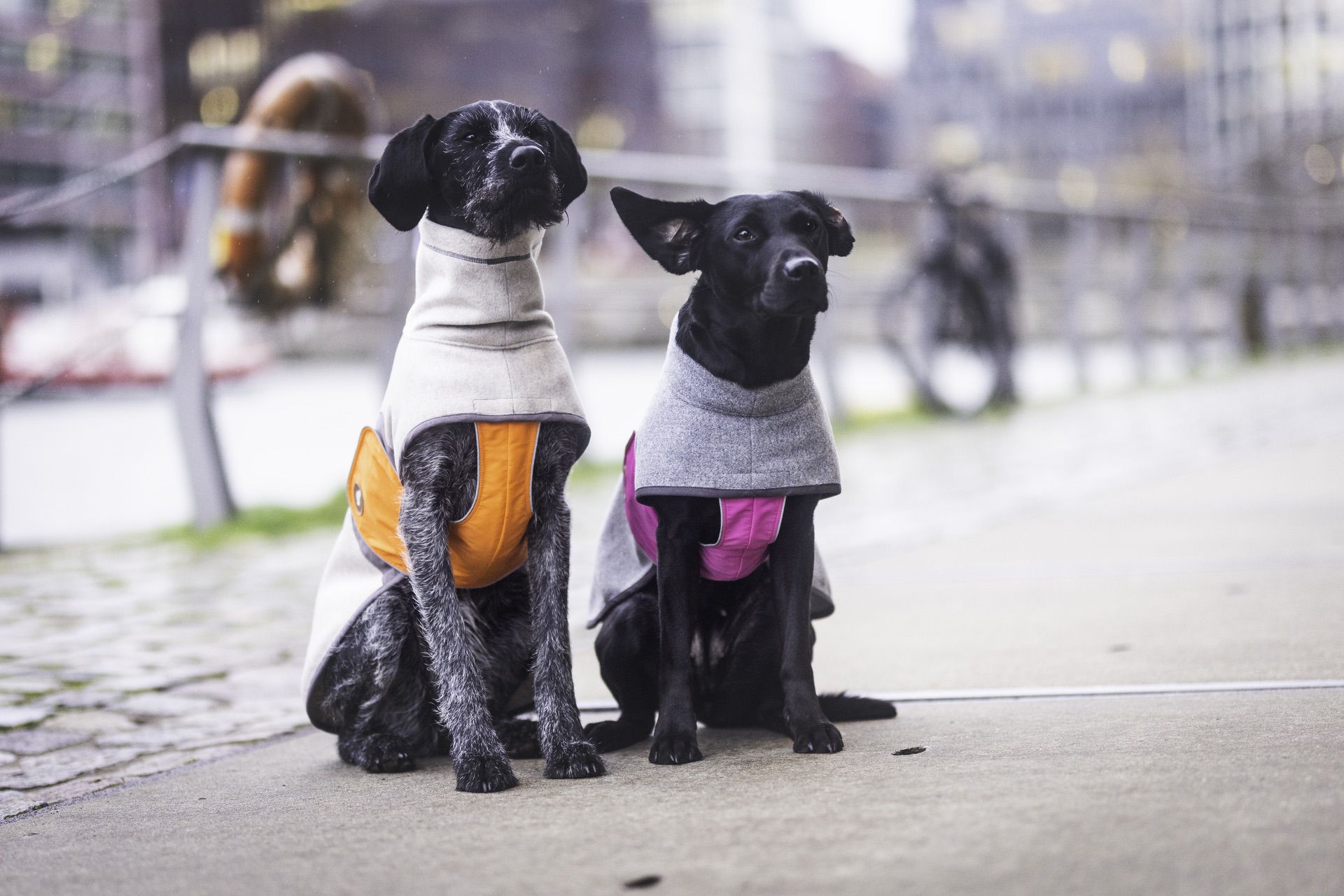 Hundemantel für große Hunde
