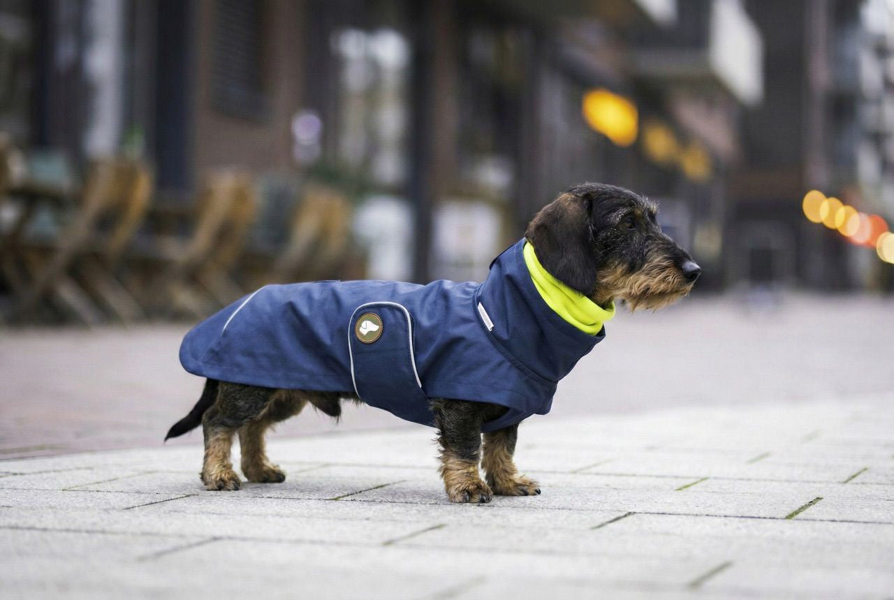 Dackelregenmantel Cooper in Midnight Navy mit GRatis-Loop im Bundle