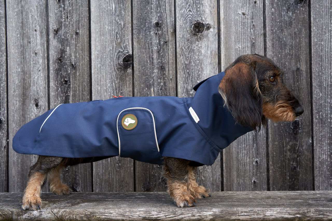 Dackel-Regenmantel Cooper in Navy Blau