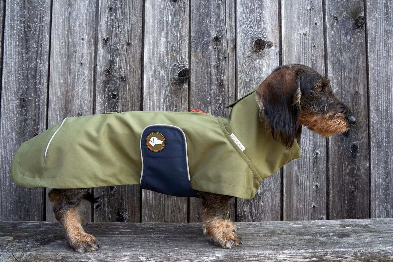 Dackel-Regenmantel Cooper in Oliv