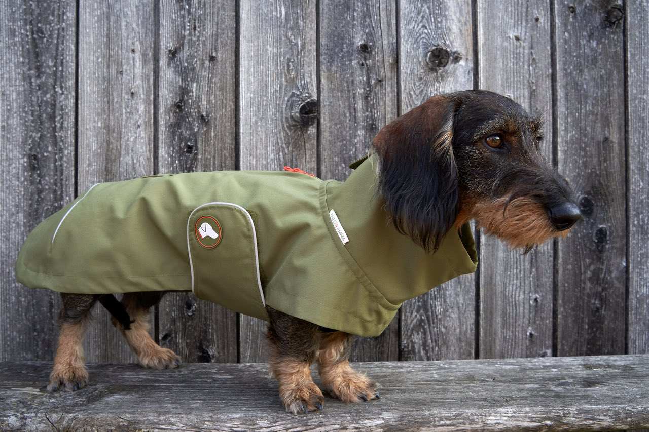 Dackel-Regenmantel Cooper in Oliv