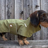 Dackel-Regenmantel Cooper in Olive Branch
