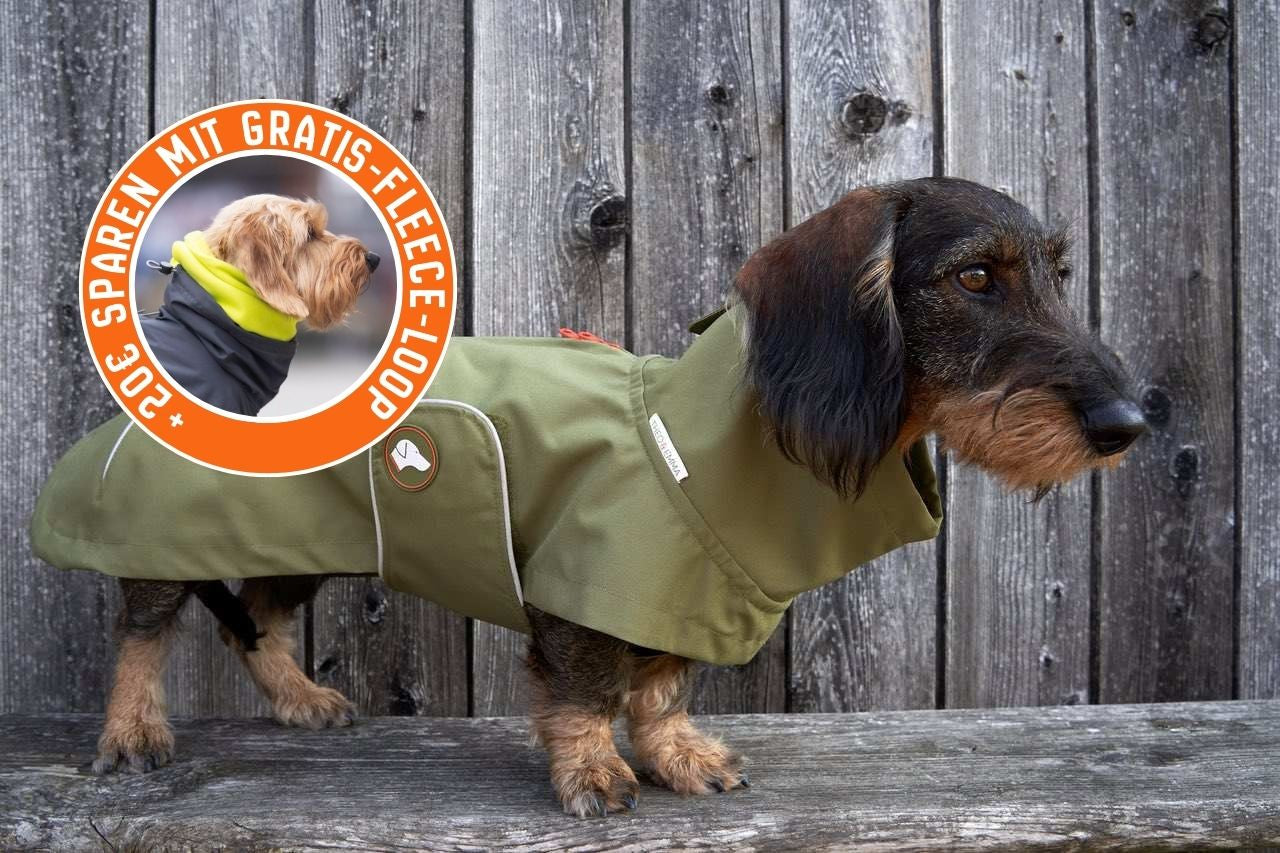 Dackel-Regenmantel Cooper in Olive Branch