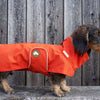 Dackel-Regenmantel Cooper in Pumpkin Orange